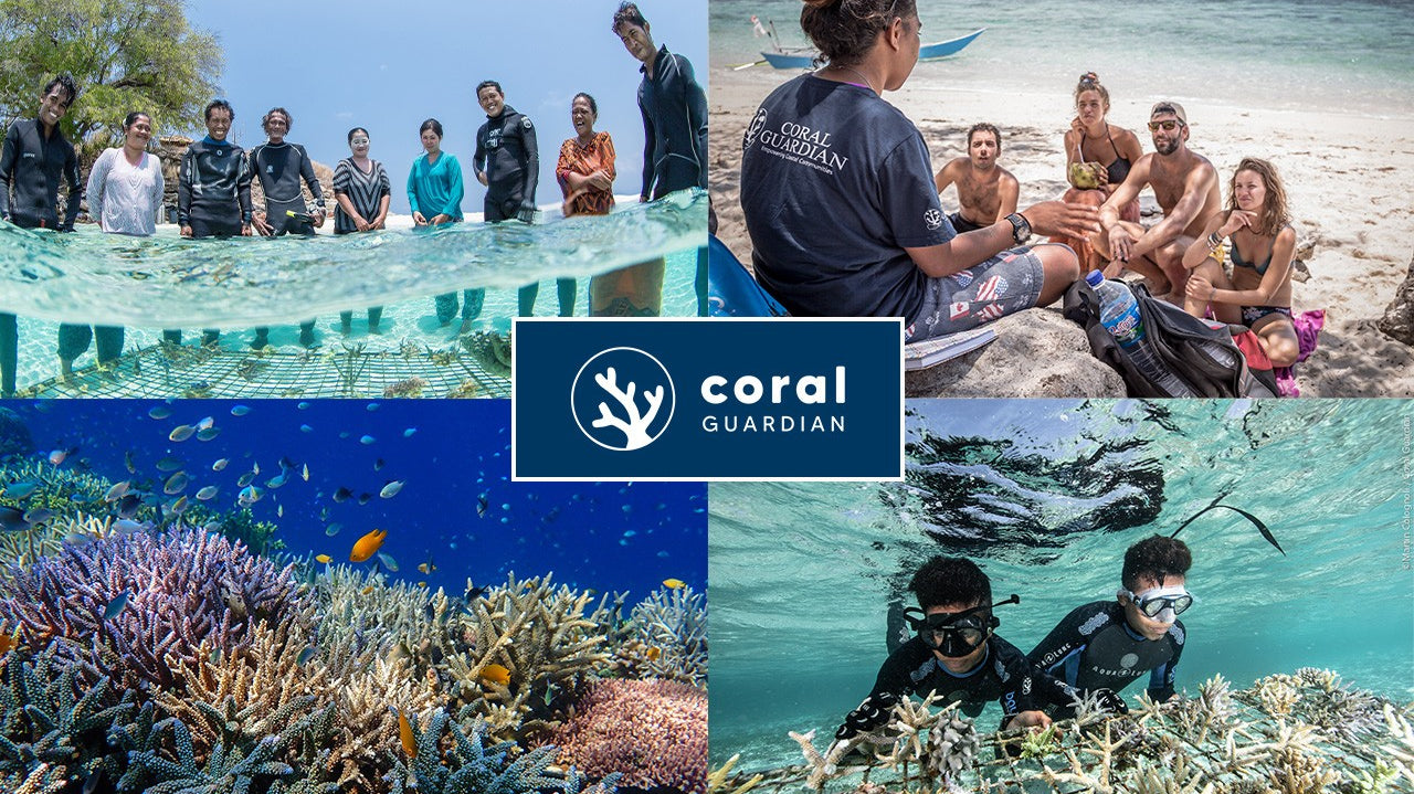 ARGONAUTIC CORAL LIMITED EDITION