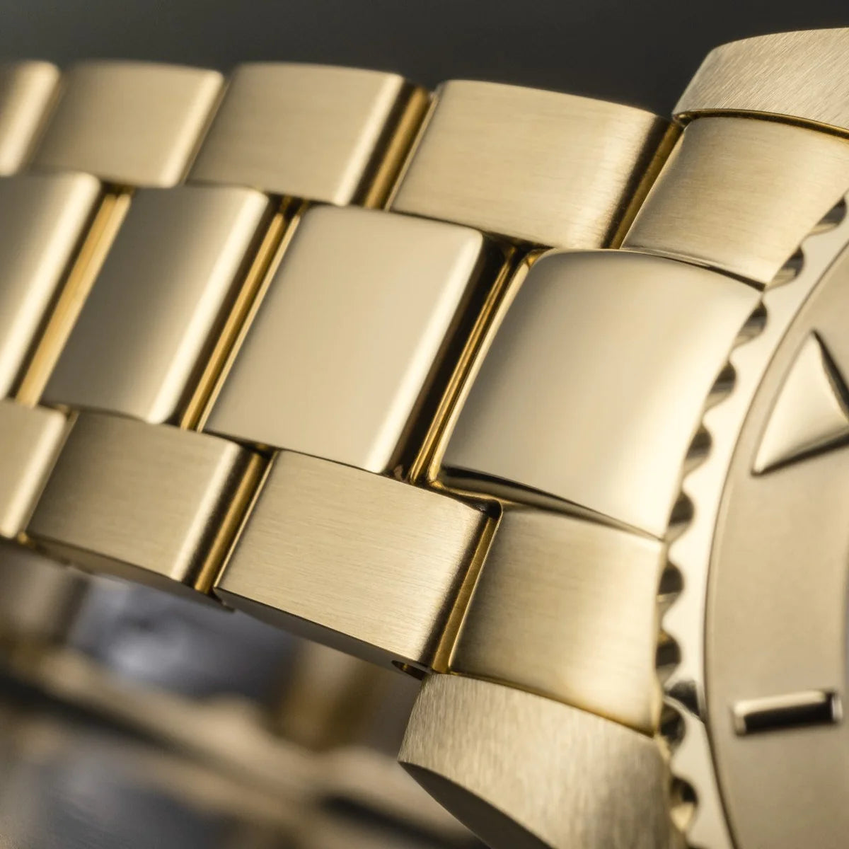 Ternos Medium Automatic Golden Diving Watch 16619850 Diver Davosa USA Official Distributor. Prices are Final. Tax & duties included.