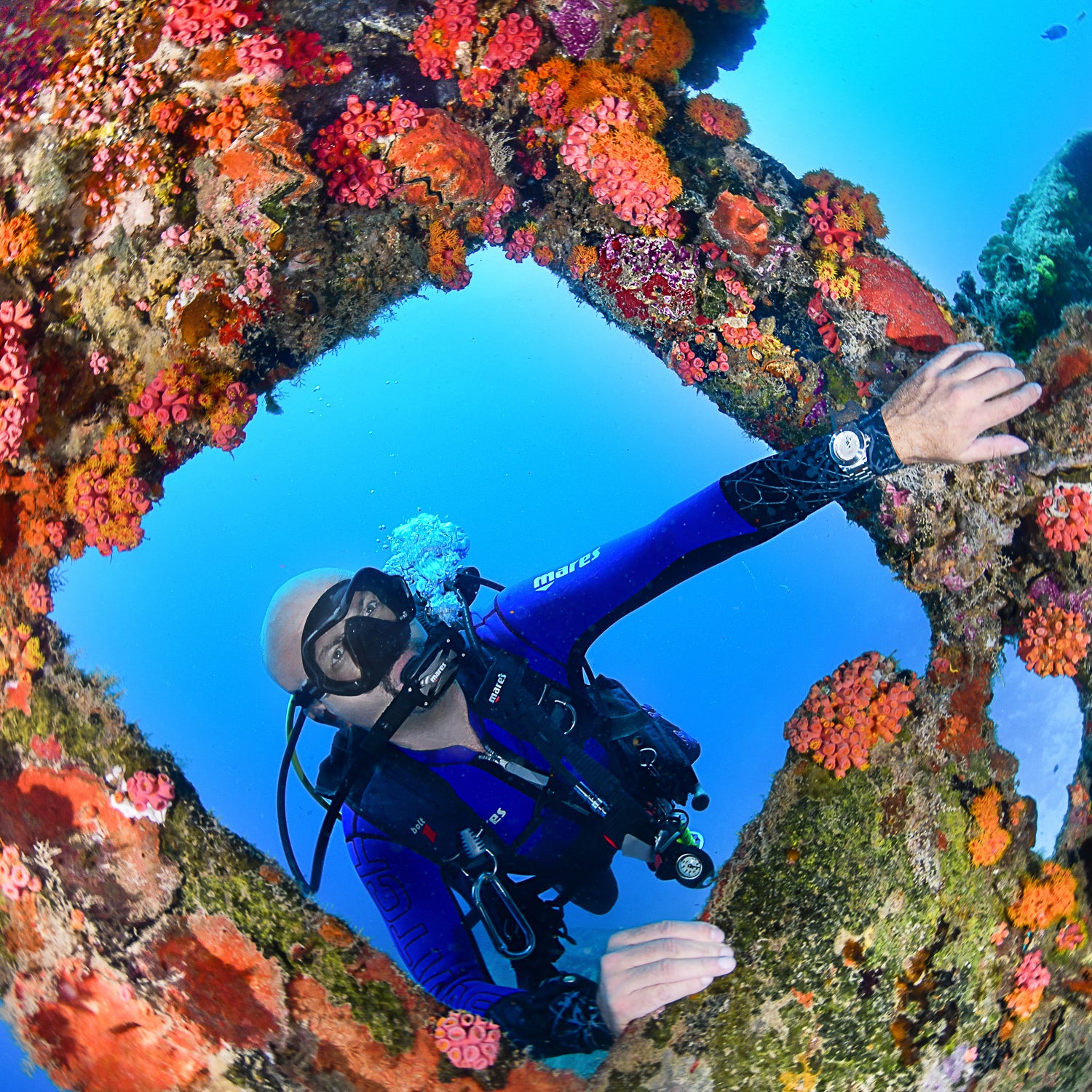 Argonautic BG Automatic 300m Black Men's Diver Watch 16152820 Diver Davosa USA Official Distributor. Prices are Final. Tax & duties included.