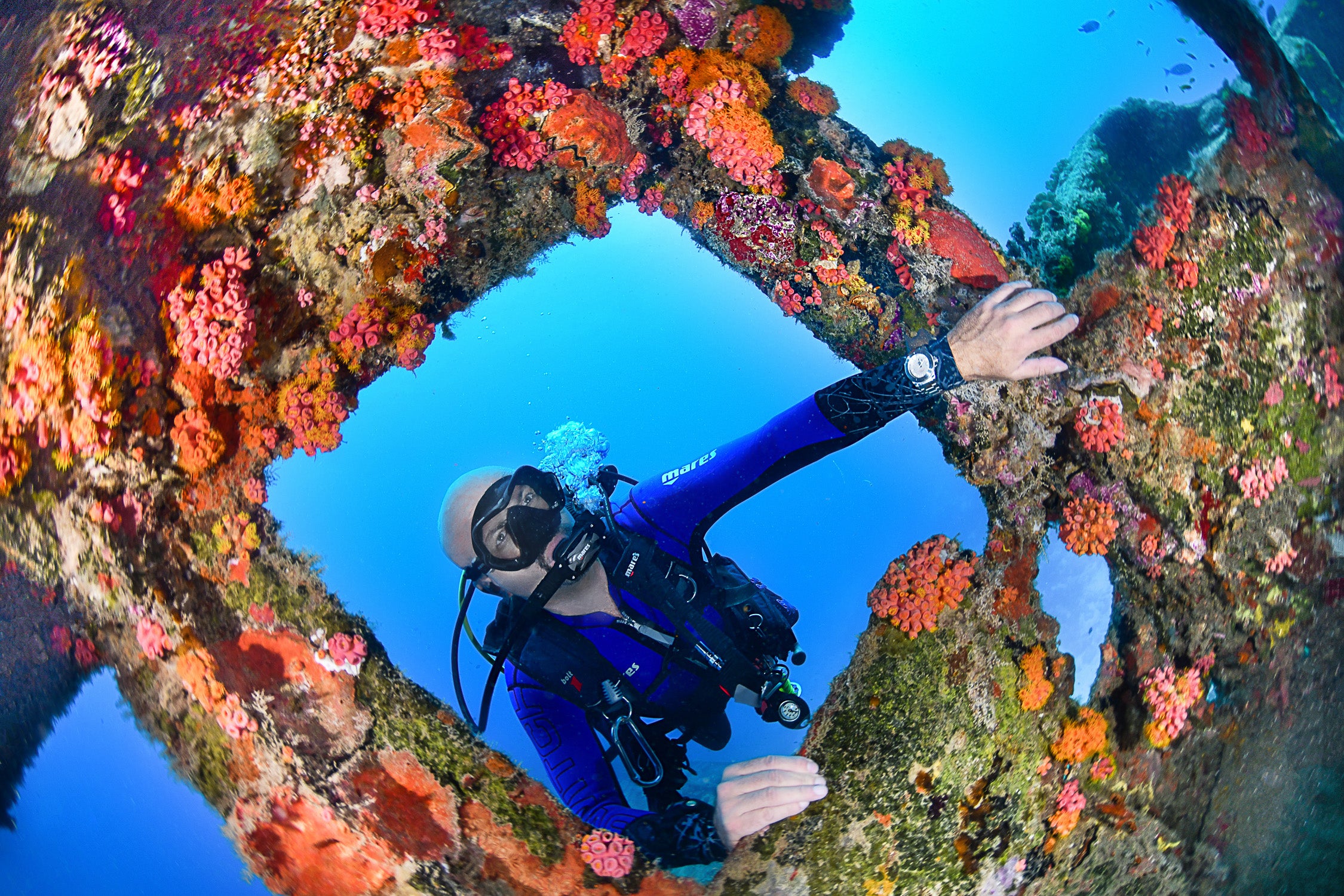 Argonautic BG Automatic 300m Black Men's Diver Watch 16152820 Diver Davosa USA Official Distributor. Prices are Final. Tax & duties included.