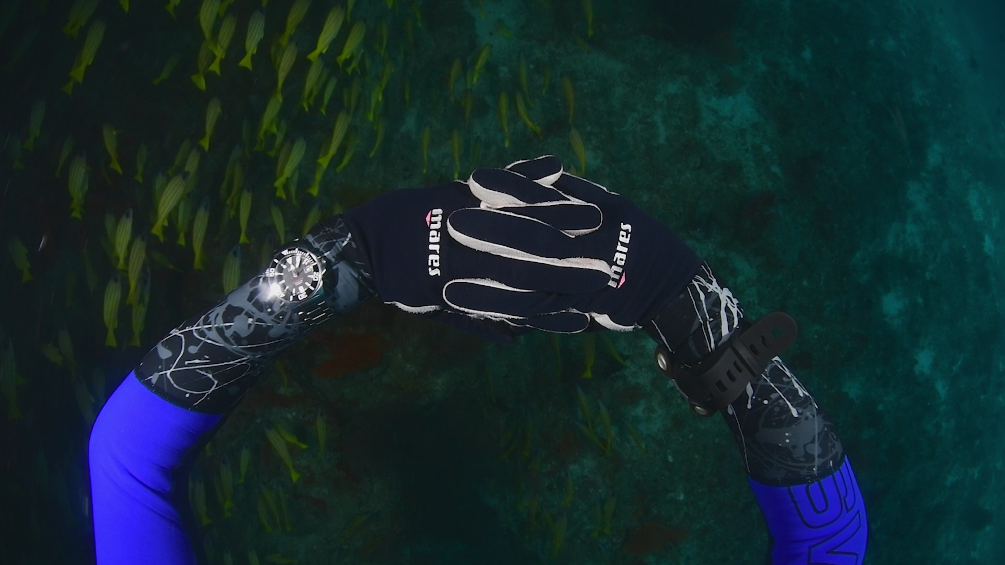 Argonautic BG Automatic 300m Black Men's Diver Watch 16152820 Diver Davosa USA Official Distributor. Prices are Final. Tax & duties included.