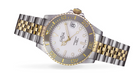 Ternos Medium Automatic Swiss-Made White Gold Diver Watch 16619702 Diver Davosa USA Official Distributor. Prices are Final. Tax & duties included.