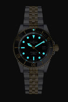 Ternos Diver Automatic Two-Tone 200m Swiss-Made Gold and Black Unisex Diver Watch Diver DAVOSA Swiss