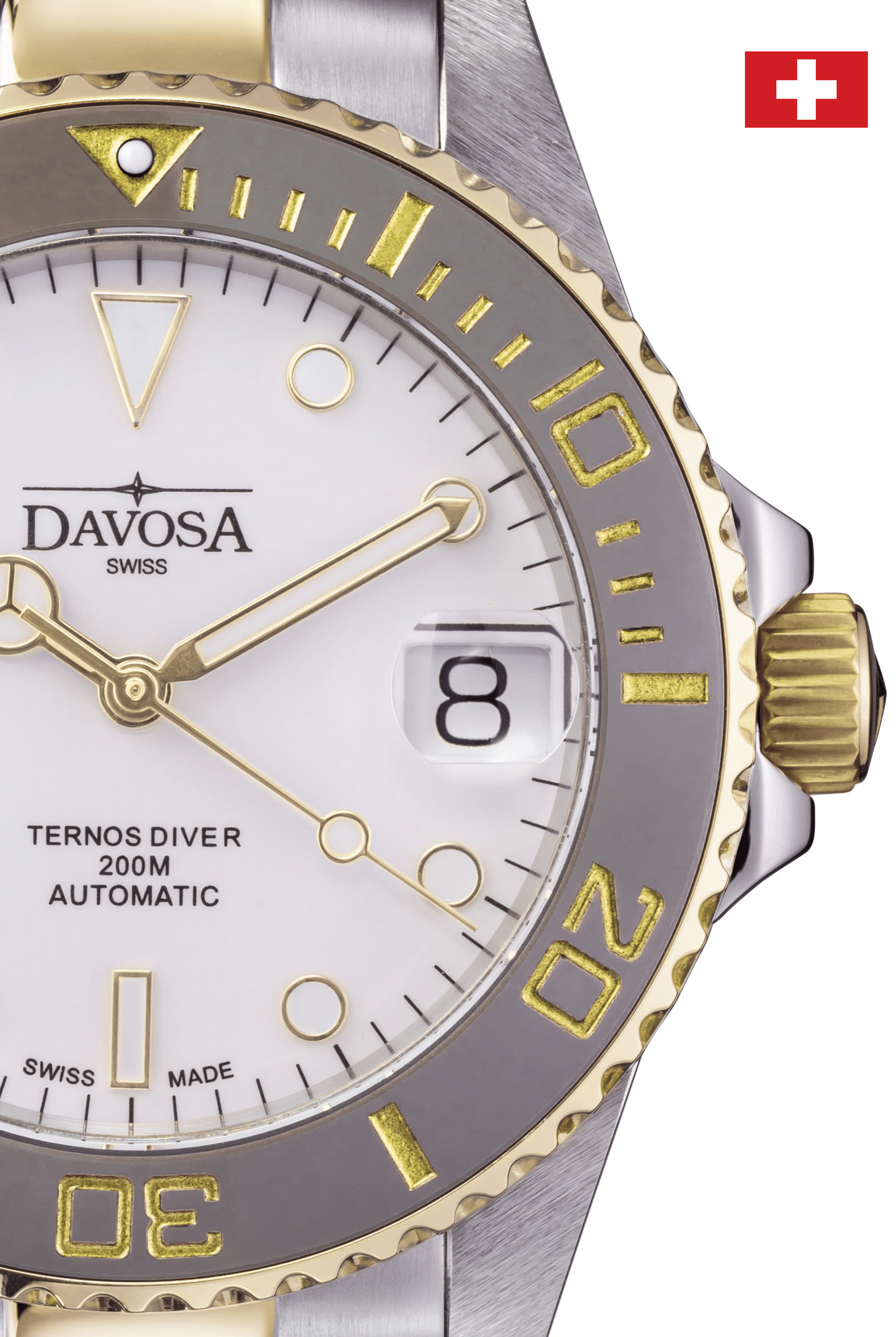 Ternos Medium Automatic Swiss-Made White Gold Diver Watch 16619720 Diver Davosa USA Official Distributor. Prices are Final. Tax & duties included.